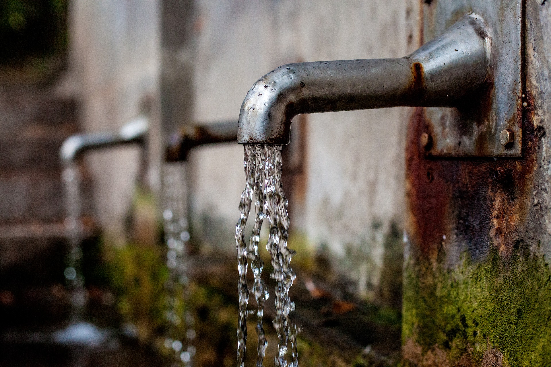 Wasserkonsum